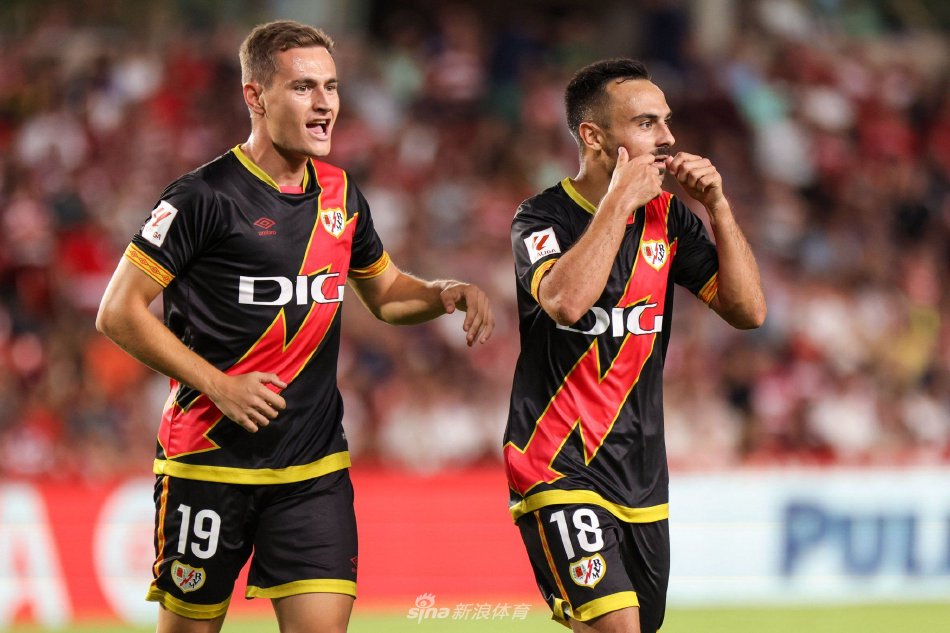 例便是20 例便是20